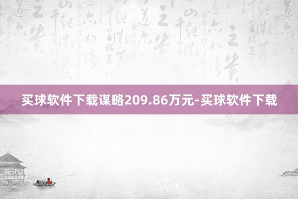 买球软件下载谋略209.86万元-买球软件下载