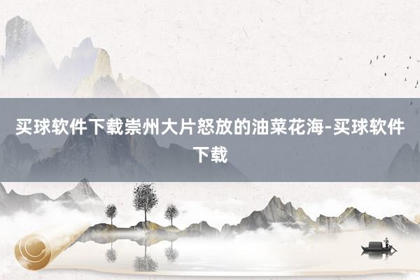 买球软件下载崇州大片怒放的油菜花海-买球软件下载
