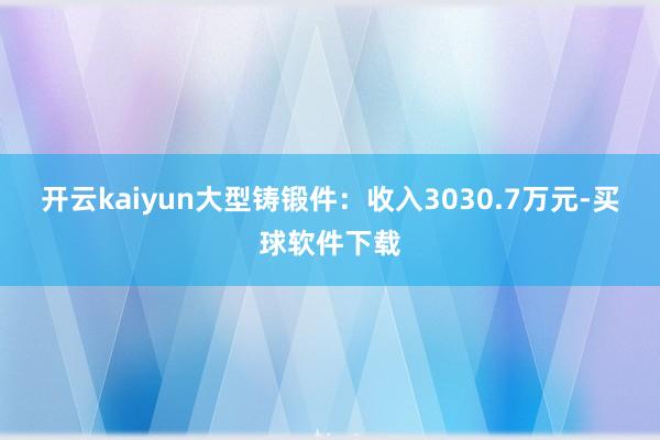 开云kaiyun大型铸锻件：收入3030.7万元-买球软件下载