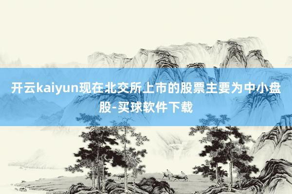 开云kaiyun现在北交所上市的股票主要为中小盘股-买球软件下载
