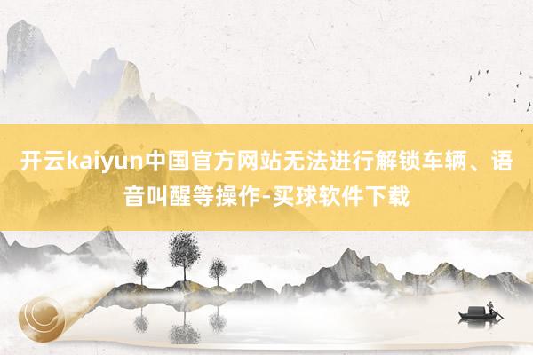 开云kaiyun中国官方网站无法进行解锁车辆、语音叫醒等操作-买球软件下载