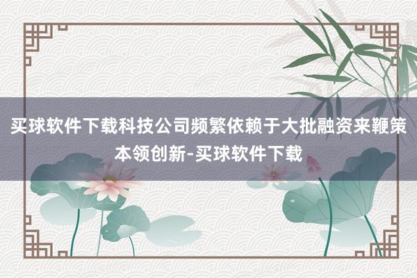 买球软件下载科技公司频繁依赖于大批融资来鞭策本领创新-买球软件下载