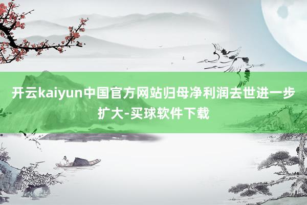 开云kaiyun中国官方网站归母净利润去世进一步扩大-买球软件下载