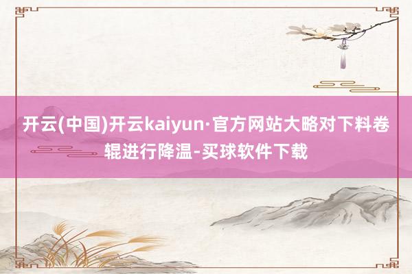 开云(中国)开云kaiyun·官方网站大略对下料卷辊进行降温-买球软件下载