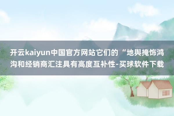 开云kaiyun中国官方网站它们的 “地舆掩饰鸿沟和经销商汇注具有高度互补性-买球软件下载