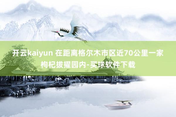 开云kaiyun 　　在距离格尔木市区近70公里一家枸杞拔擢园内-买球软件下载