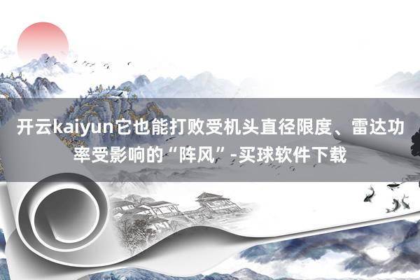开云kaiyun它也能打败受机头直径限度、雷达功率受影响的“阵风”-买球软件下载