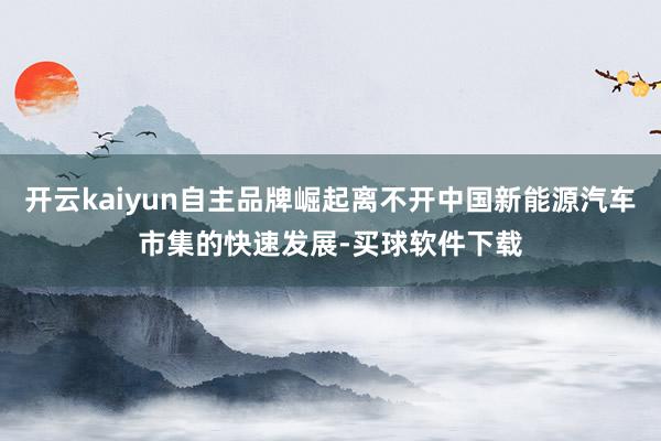 开云kaiyun自主品牌崛起离不开中国新能源汽车市集的快速发展-买球软件下载