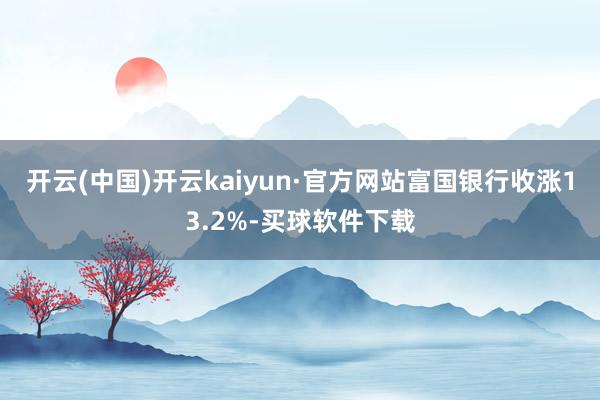 开云(中国)开云kaiyun·官方网站富国银行收涨13.2%-买球软件下载