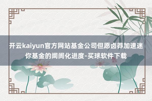 开云kaiyun官方网站基金公司但愿卤莽加速迷你基金的阛阓化进度-买球软件下载