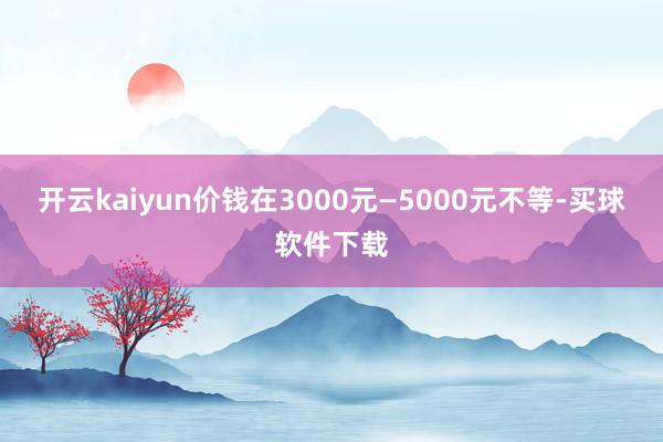 开云kaiyun价钱在3000元—5000元不等-买球软件下载